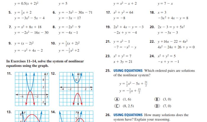 Big ideas math algebra 2 book