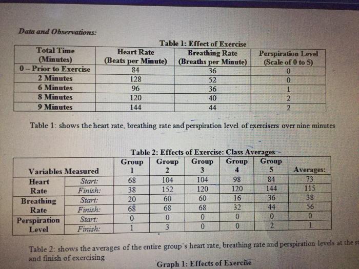 Lab exercise and homeostasis lab report