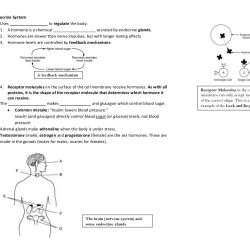 Biology regents questions by topic