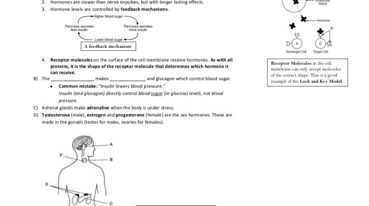 Biology regents questions by topic