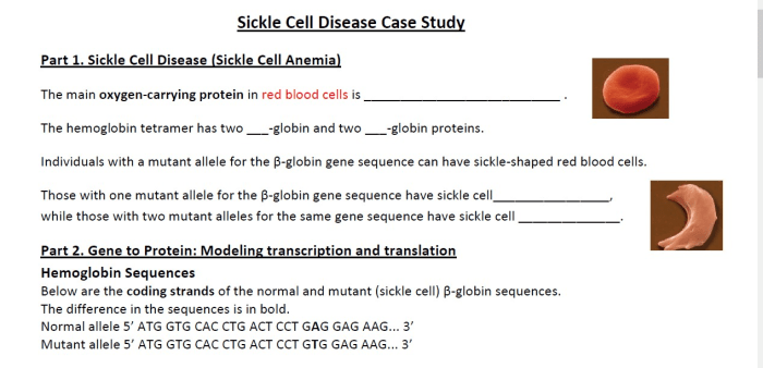 Sickle cell anemia hesi case study