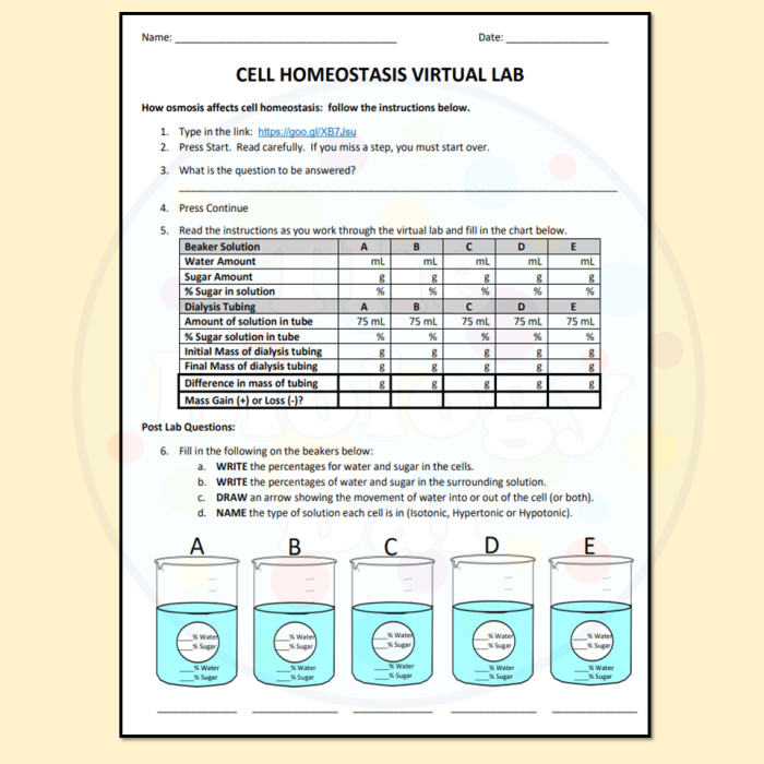 Lab exercise and homeostasis lab report