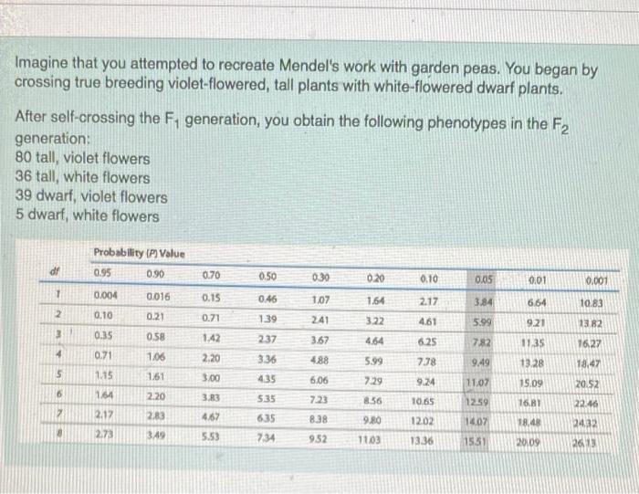 Hummingbird hummingbirds attract perennial perennials delphinium planting gardenmagz fence colibris hgtv