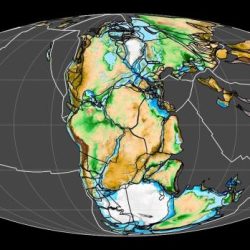 Label the climate belts of pangaea appropriately.